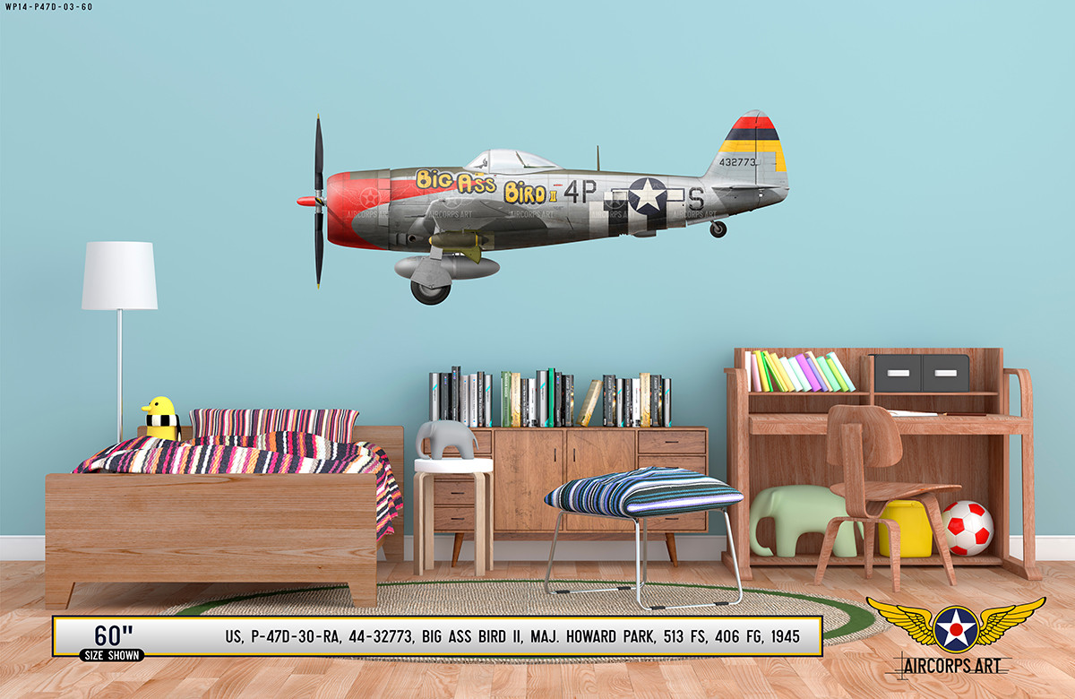 40s B-15 AAF 陸軍航空隊 レアPX品 ペイントアート WWⅡ 実物◎ P-47D Thunderbolt 