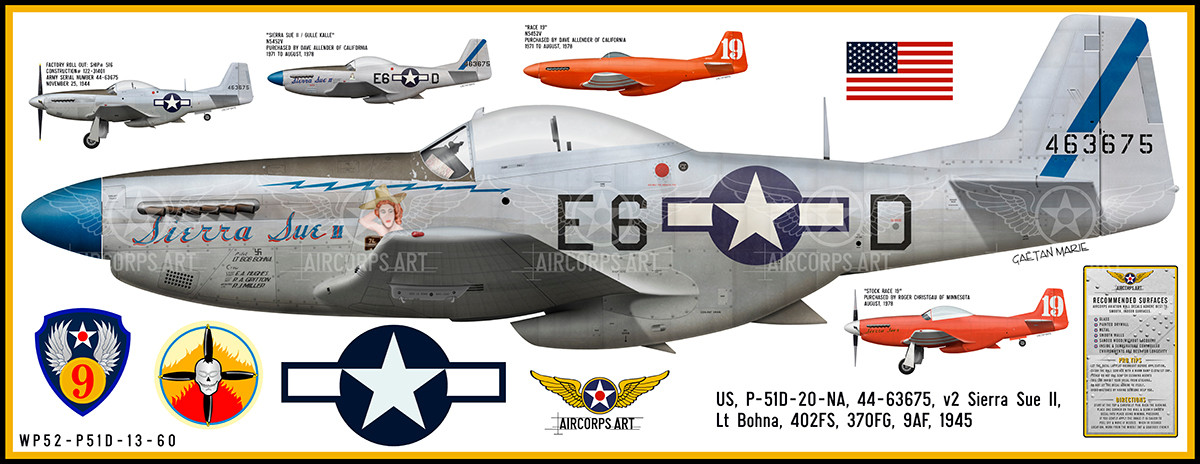 P-51D Mustang 