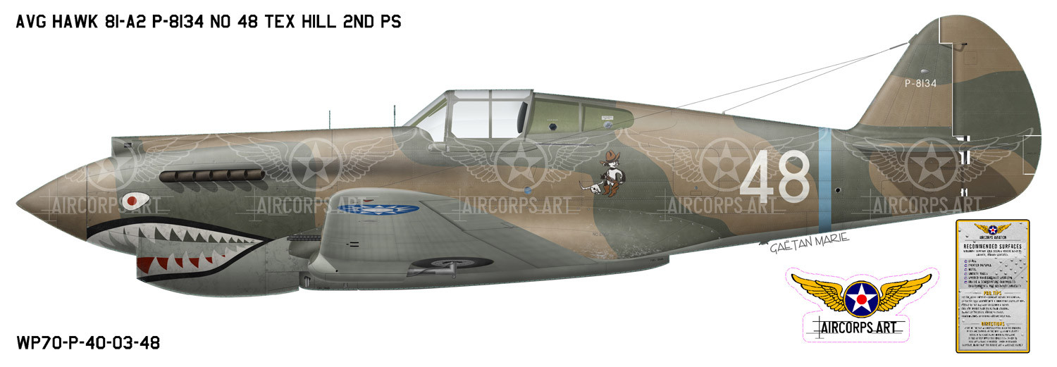 H-81 Tomahawk Decorative Military Aircraft Shark Mouth Profile