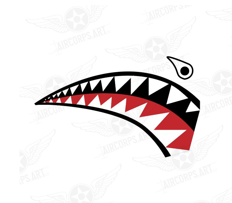 Shark Mouth Teeth Nose Art Military Aircraft Decal SM-05