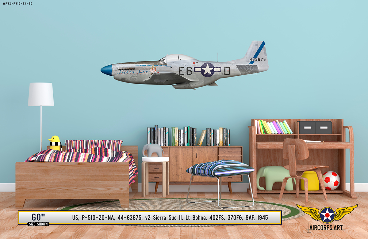 P-51D Mustang 