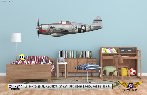 USAF米空軍＊ルーニー・テューンズ＊シルベスター・キャット＊爆撃機スコードロン USAF米空軍＊ルーニー・テューンズ七宝シルベスター・キャット爆撃機