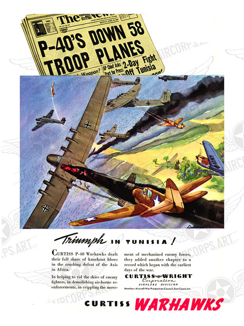 Airplane c. 1959/ウォーホル/ポスター 50030WEB__90590.1744313577.500