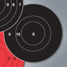 TargDots® Bullseye 3" Timed & Rapid Fire 50-PK