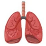 Breathing feature(+$300)