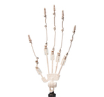 Hand Skeleton 2.0