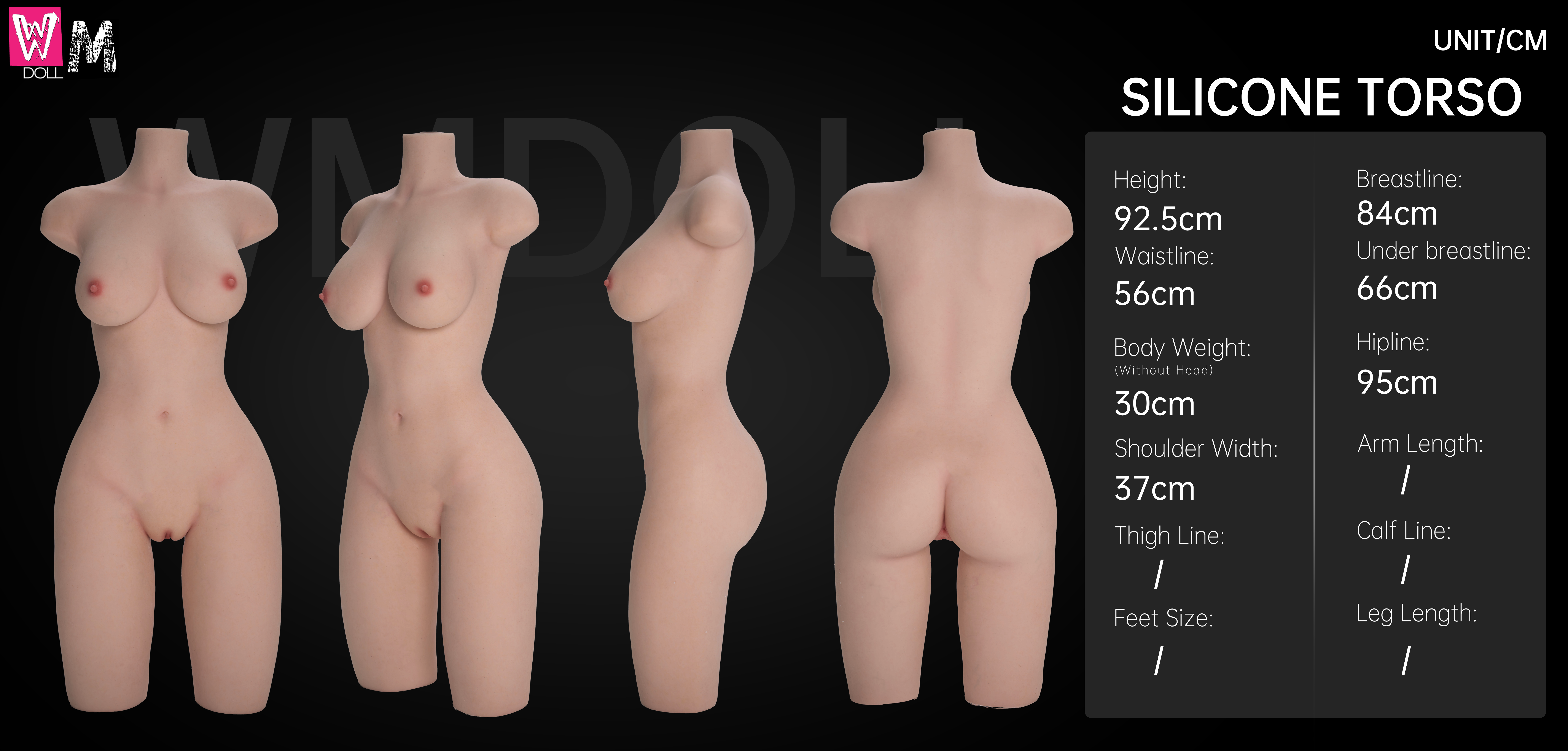 torso.png torso.png
