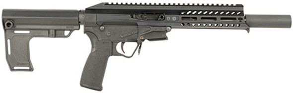 PATRIOT ORDNANCE FACTORY PSG 22 LR