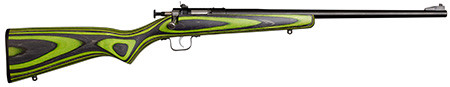 CRICKET 22LR BLUED BRL 16.12 1R GRN