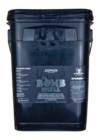 DOMAIN BOMBSHELL