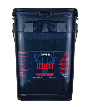 DOMAIN ILLICIT
