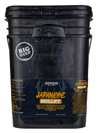 DOMAIN JAPANESE MILLET