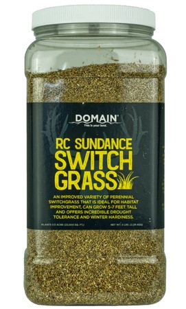 DOMAIN RC SUNDANCE SWITCHGRASS