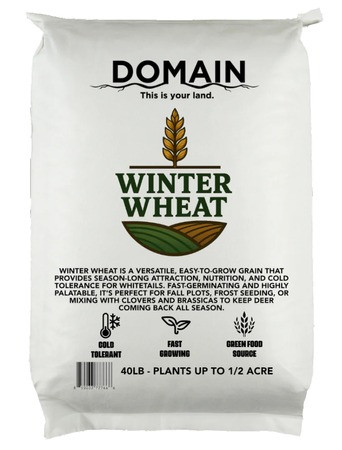 DOMAIN WINTER WHEAT
