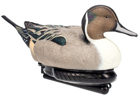 AVIAN POWER SWIMMER PINTAIL DRAKE
