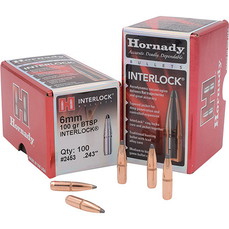 HORNADY BULL .243 100 BTSP 100/25