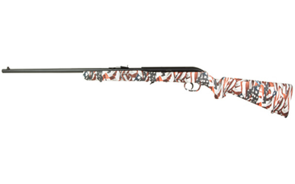 SAV 64F 22LR 21 10RD R/W/B FLAG