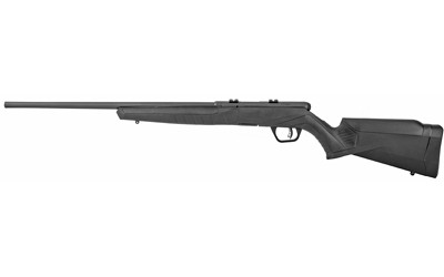 SAV B17 F 17HMR 21 10RD BLK