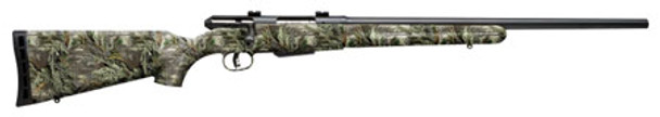 SAVAGE 25 Walking Varminter 17 Hornet 19978