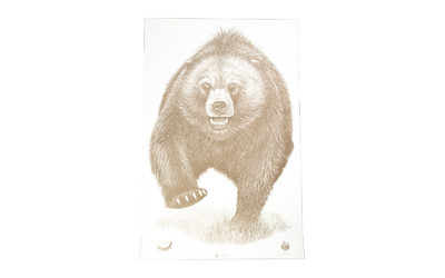 ACTION TGT AK STATE PARK BEAR 100PK