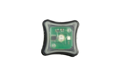 UNITY SPARK LIGHT GREEN