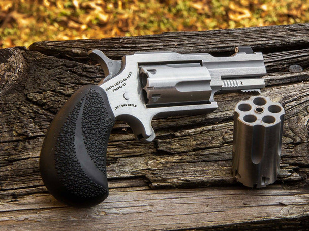 NAA 22M/22LR BUGOUT II SS XS SGHT#