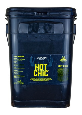 DOMAIN HOT CHIC