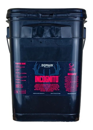 DOMAIN INCOGNITO