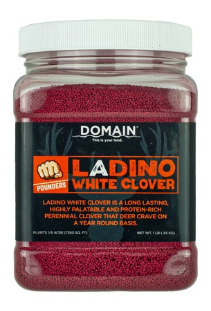 DOMAIN LADINO WHITE CLOVER