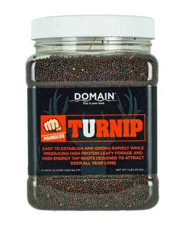 DOMAIN POUNDER - TURNIP