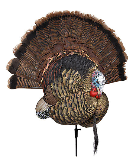 AVIAN TROPHY TOM DECOY