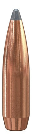 SPEER BULL .243 95 SIB 100/5