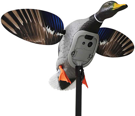 MOJO ES KING MALLARD