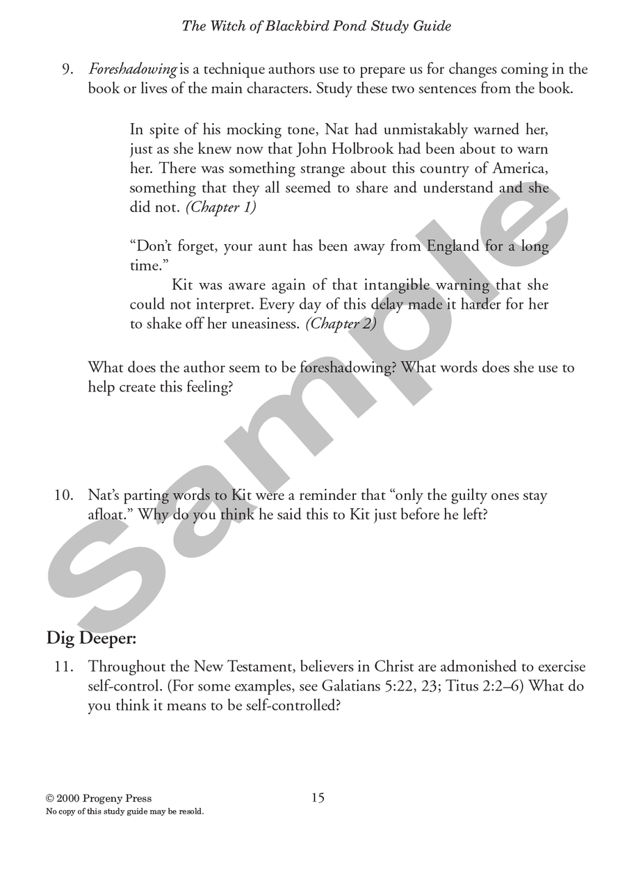 Witch Of Blackbird Pond Study Guide Progeny Press Literature Curriculum