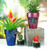 Planter Pots with Butterfly &amp; Dragonfly