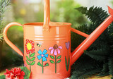 Springtime Watering Can and Polka Dot Pots
