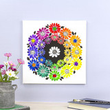 Color Wheel Art | Floral Art