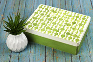 White and Green 60's Style Stenciled Box