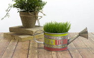 "Grow Time" Mini Watering Can