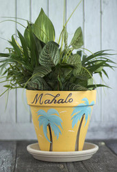 Tropical Hawaiian Clay Pot and Saucer