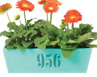 Personalized Address Window Box