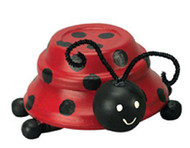 Lovely Terra Cotta Ladybug