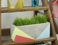 Summer Tri-Colored Concrete Planter