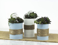 Chalky Finish Succulent Tin Can Planters