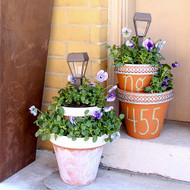 Solar Light and Flower Pot Centerpiece