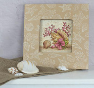 Seashell and Coral Still Life