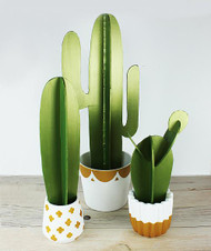 DIY Cacti Foam Core Plants