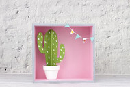 Cactus and Banner Shadow Box