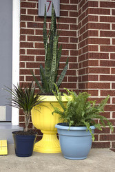 Updated Blue and Yellow Planters