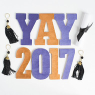 Graduation Celebration Metallic Party Decor